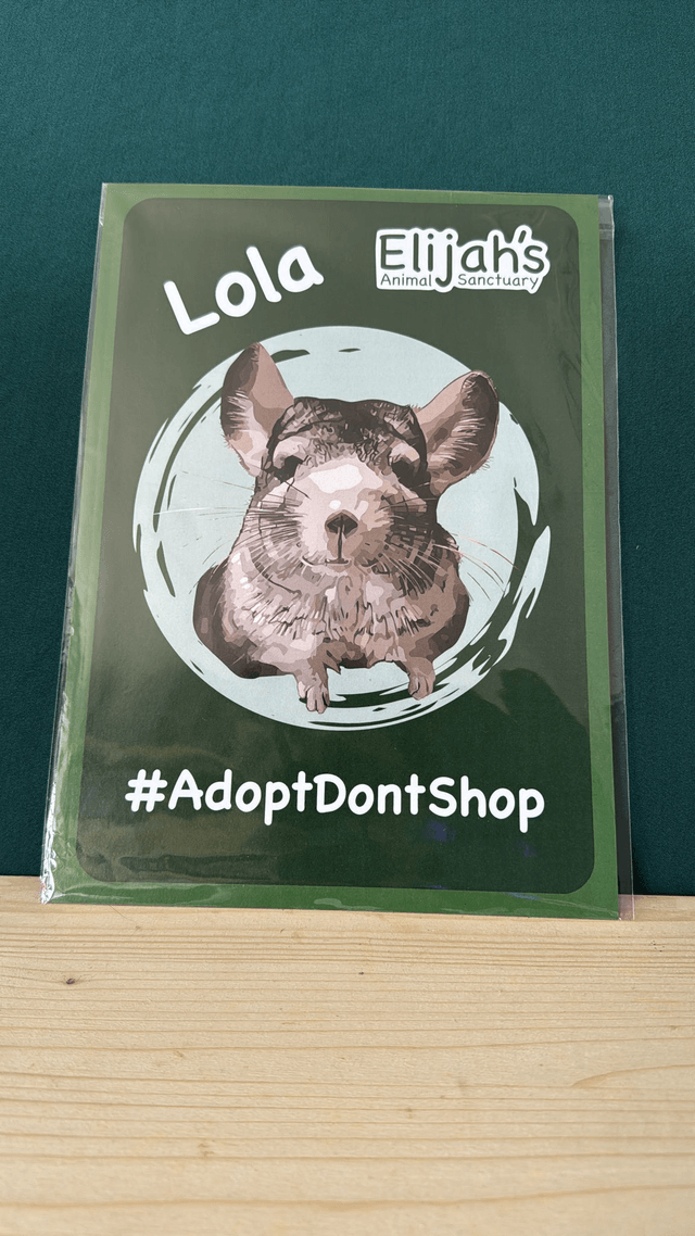 Lola Poster