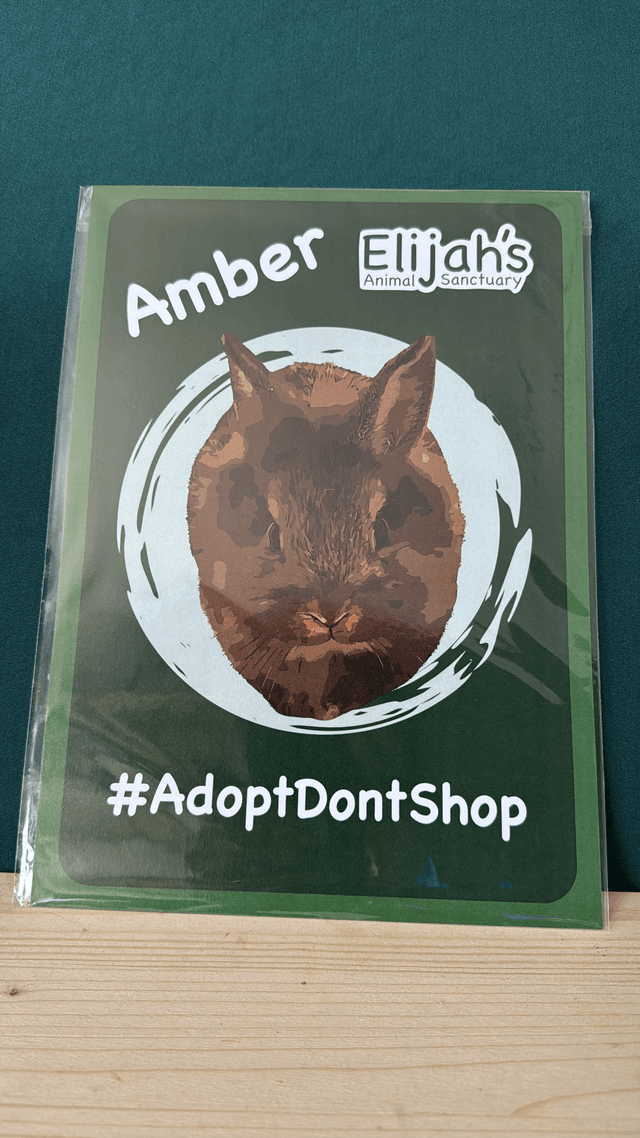 Amber Poster