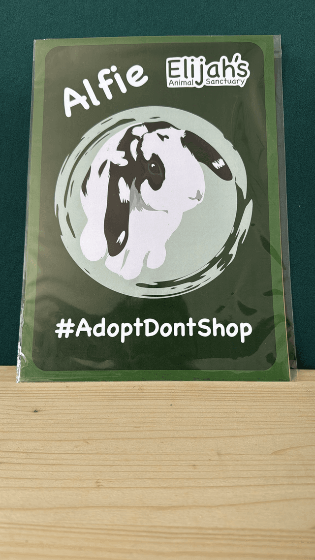 Alfie Poster