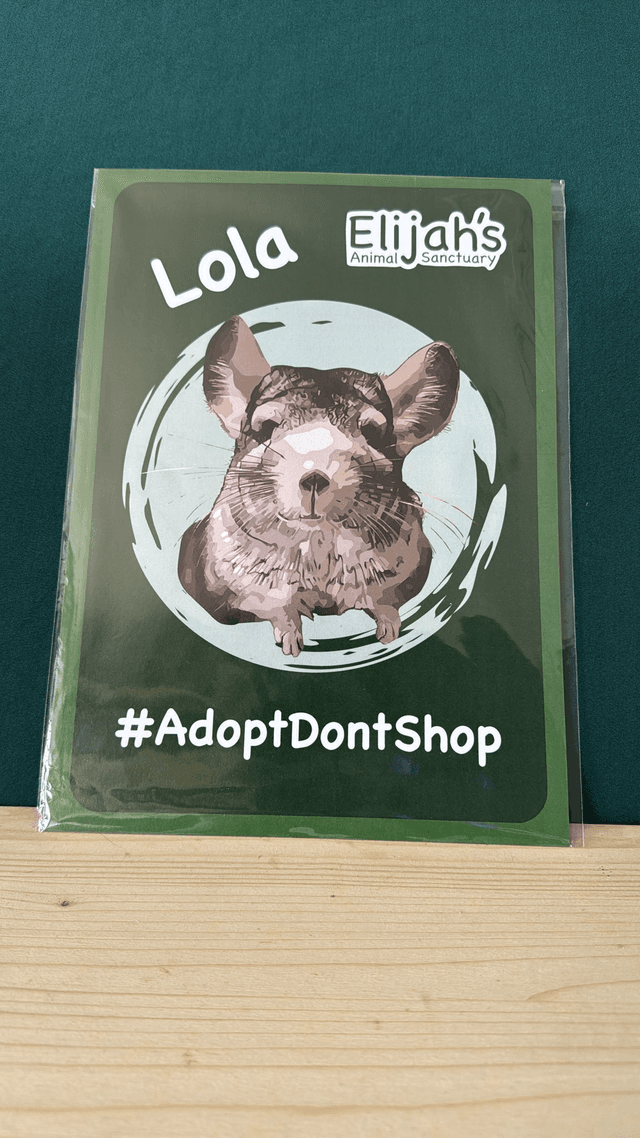 Lola Poster
